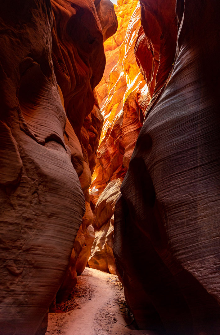 Buckskin's Gulch